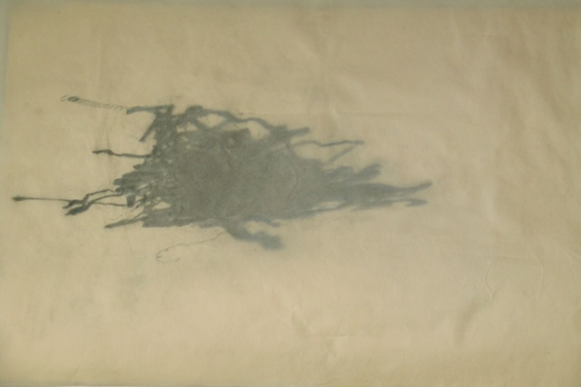 Shadow of the Typewriter Nest