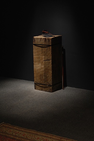 Sonata Blade
(installed in Vertigo at Gallery Pierre-Francois Ouellette Art Contemporain)