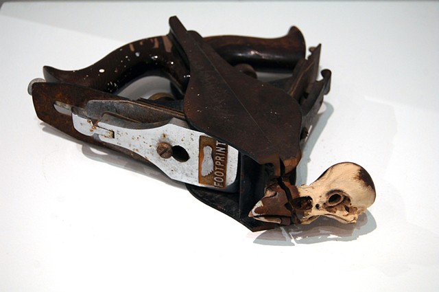 Carrion Plane
