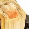 Fiction (detail)