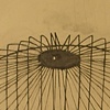 Shadow of the Empty Cage