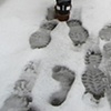 Outliers
(Barefoot track, Montreal, Canada)
