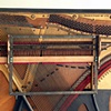 Four Leg Arpeggio (detail)