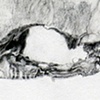 Road Still Series (Turtle)