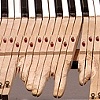 Duet (detail)