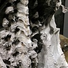 Lexicon (detail)

(City of Ottawa)