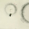 Lead Moth Radius