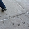 Outliers
(Deer track, New York, NY)