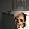 Self Doubt (Macaque)

(private collection)
