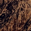Paint