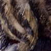 Striped Hyena