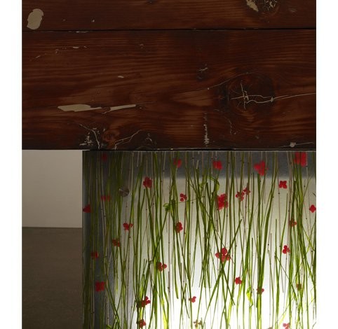 Splash Image