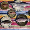 Fish on Plates