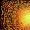 The Vortex 2(Working title)