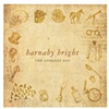 Poster for Barnaby Bright's "The Longest Day" Album