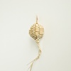 Palm