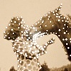 Dare alla Luce