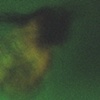 Water Series