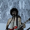 Image from touring version performance of "The Kinship Structure of Ferns"