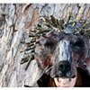 Headdresses