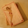 Secret Life of a Dancer moleskine journal by Linda Boucher