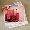 Mother's Birthday
Greetings Card
by Linda Boucher