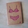 Pink Lingerie Moleskine Notebook by Linda Boucher