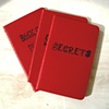 Secrets
Red Moleskine Notebook
by Linda Boucher