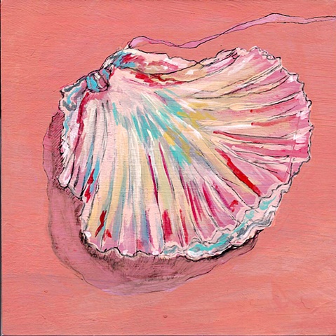 large open shell on corral