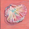 large open shell on corral