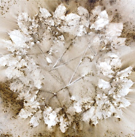 Enso/Wild Sarsaparilla is part of a series based on organic materials found along the North Shore of Lake Superior, near Grand Marais, Minnesota.