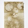 Works on Paper
