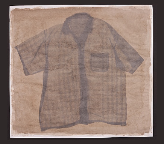 Anthotype Photogram (photogenic drawing) using Mulberry Pigment