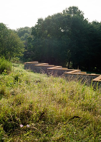 Right Angle Reply (Tall Grasses)