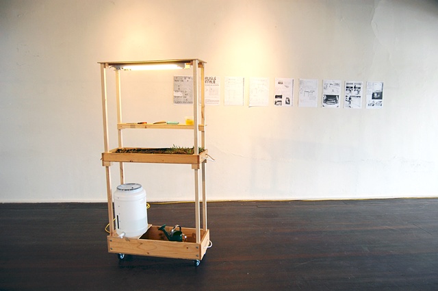 Carlisle Buffalo, transportable grass
Photograph: Matt Shane