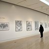 'Fine Lines' exhibition held at the Springfield Museum of Art, Ohio