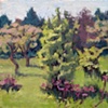 Landscapes