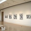 'Fine Lines' exhibition held at the Springfield Museum of Art, Ohio