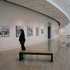 'Fine Lines' exhibition held at the Springfield Museum of Art, Ohio