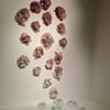 Peach Bloom
(After the Morgan Vase)