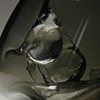 Marble as Zygote