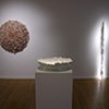Reconstructions (installation views)