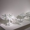 Reconstructions (installation views)