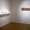 Reconstructions (installation views)