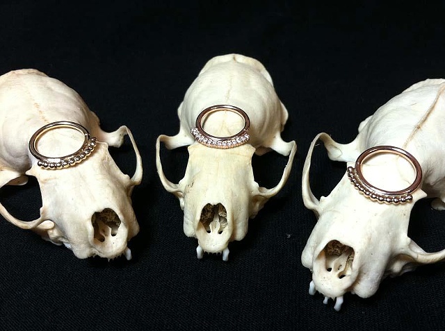 san francisco body piercing tattoo body jewelry high quality