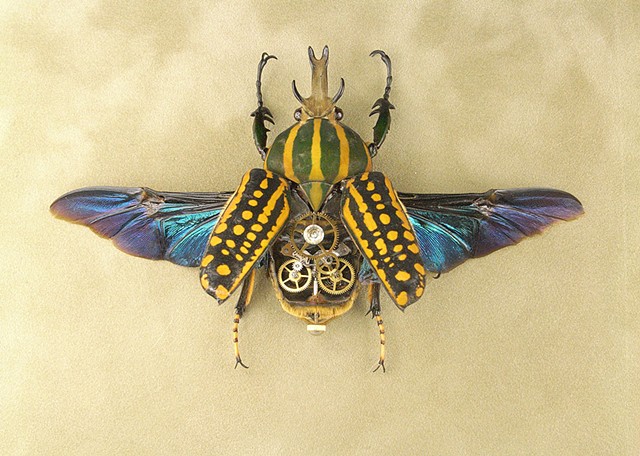 Yellow and Green Stag Beetle with multiple layered gears. Bling Gears, multiple LED's large square gold frame.