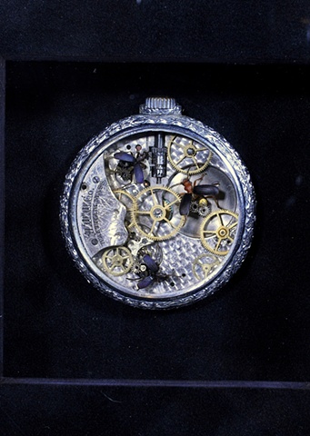 have you ever wondered how your watch worked?