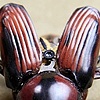 Cyrtotrachelus buqueti Prints Only