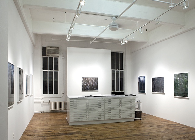 Installation at Daniel Cooney Fine Art 
January 6 - February 12, 2011
