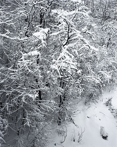Snowblind